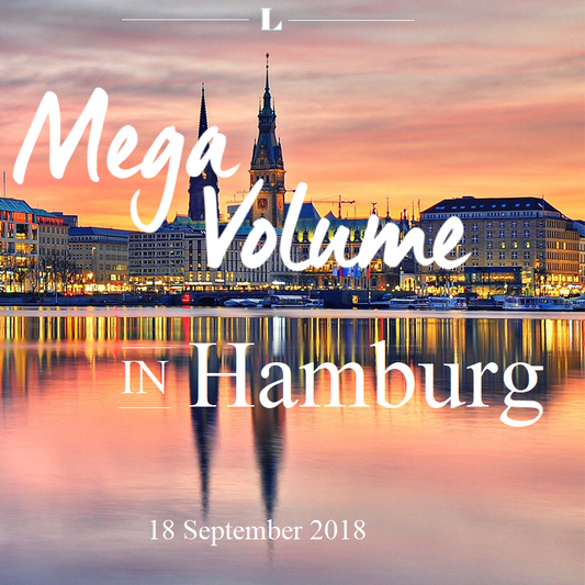 Mega Volume Schulung Hamburg