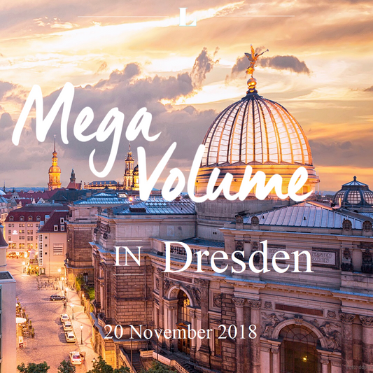 Mega Volume Schulung Dresden