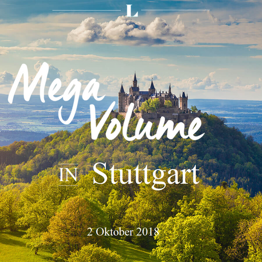 Mega Volume Schulung Stuttgart