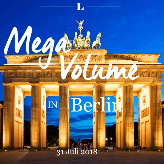 Mega Volume Schulung Berlin
